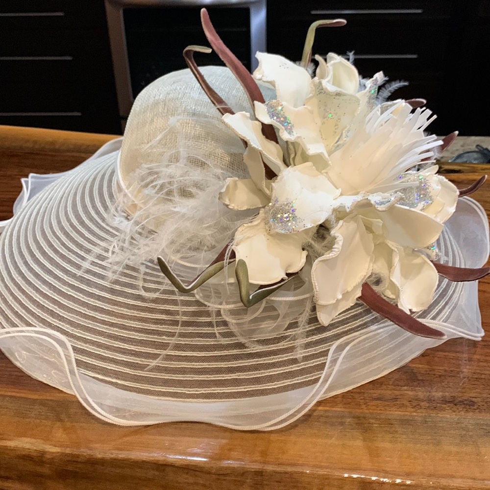 Fancy Hat